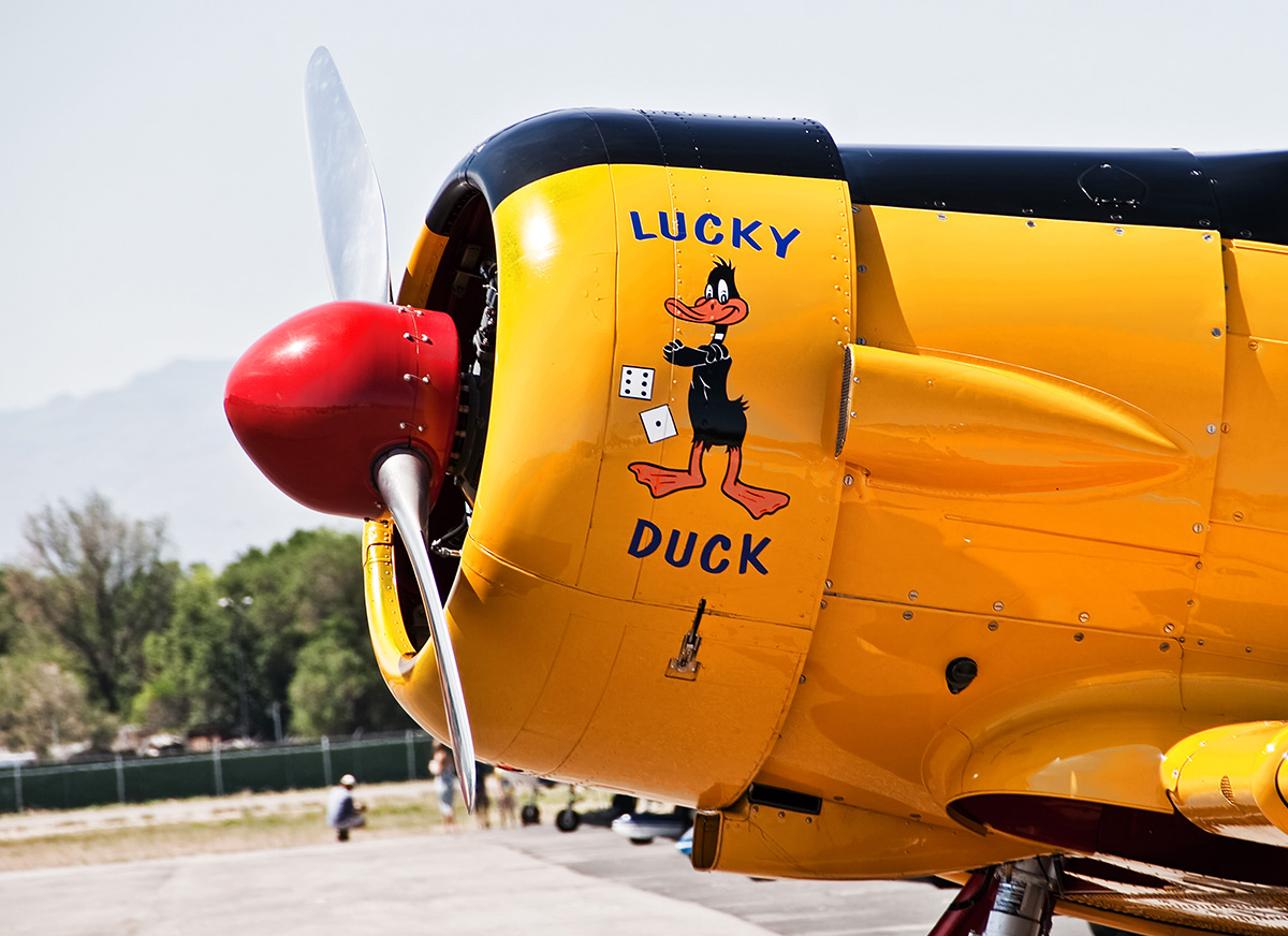 Lucky Duck